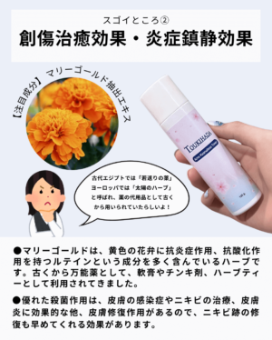 Toner-Body-in5
